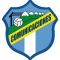 Team logo