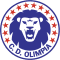 Team logo