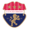 Team logo